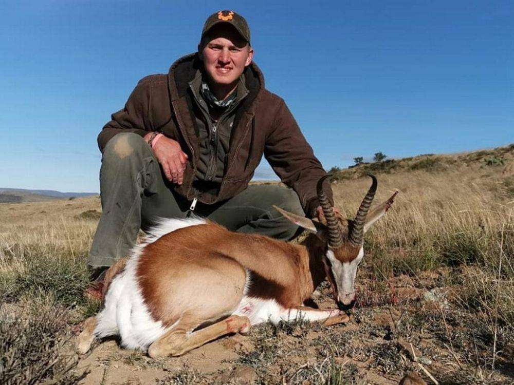 Springbuck - Cape