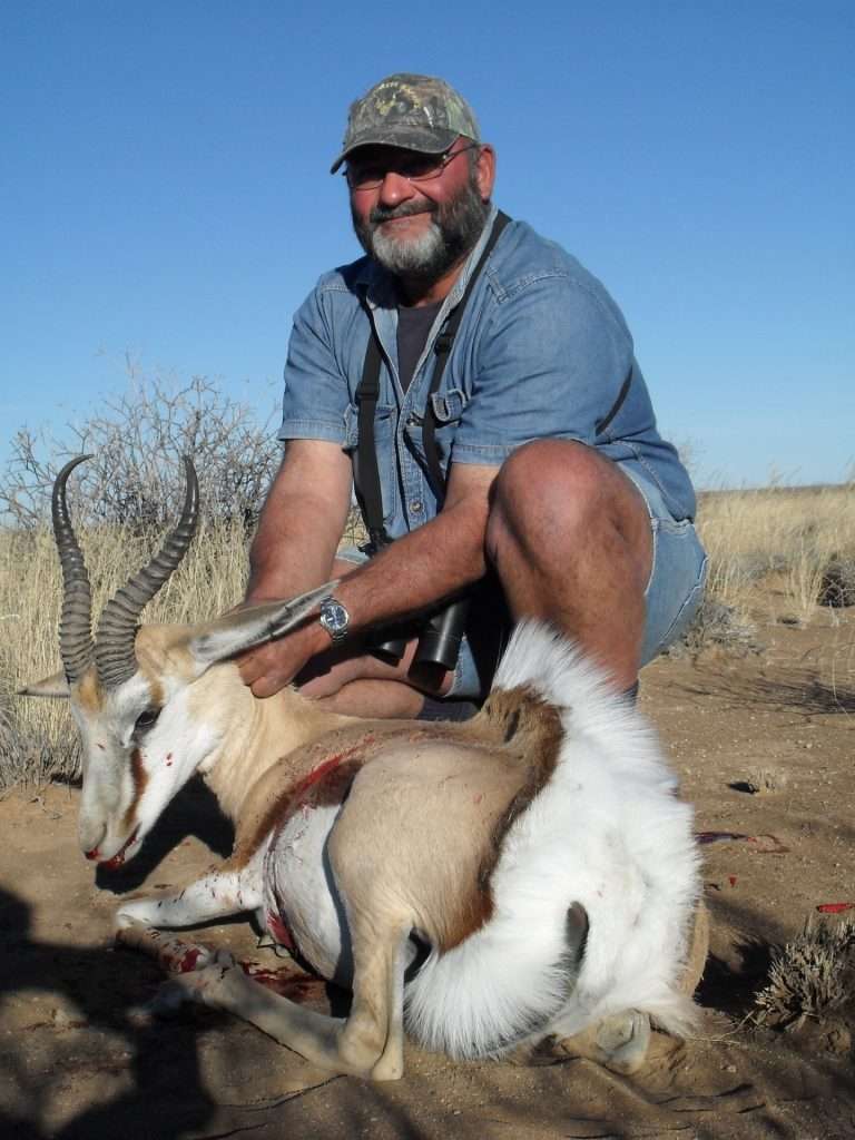 Springbuck - Cape