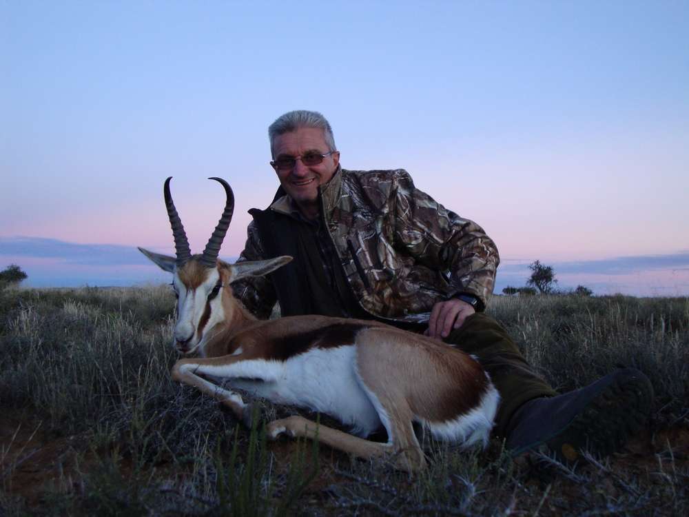 Springbuck - Cape