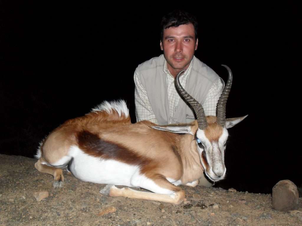 Springbuck - Cape