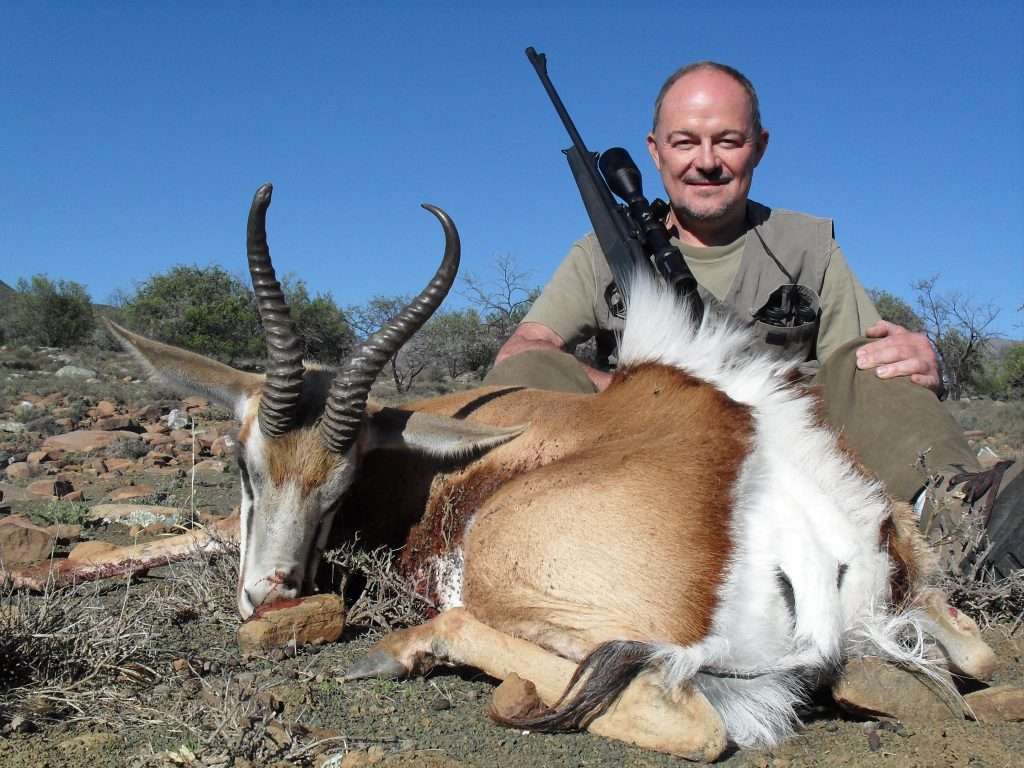 Springbuck - Cape