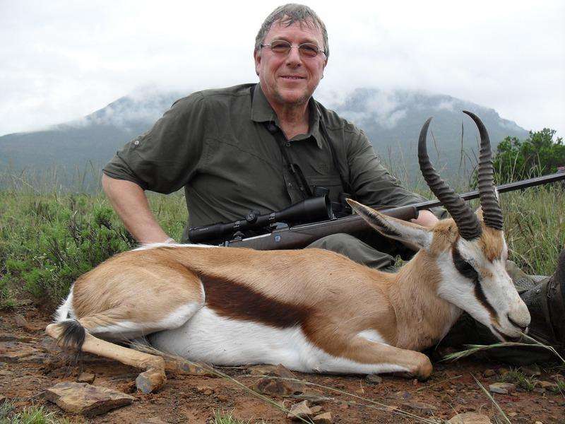 Springbuck - Cape