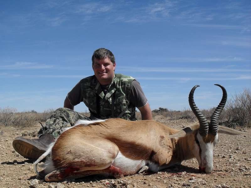 Springbuck - Cape