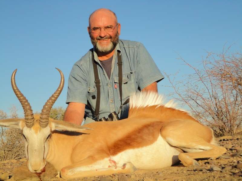 Springbuck - Cape