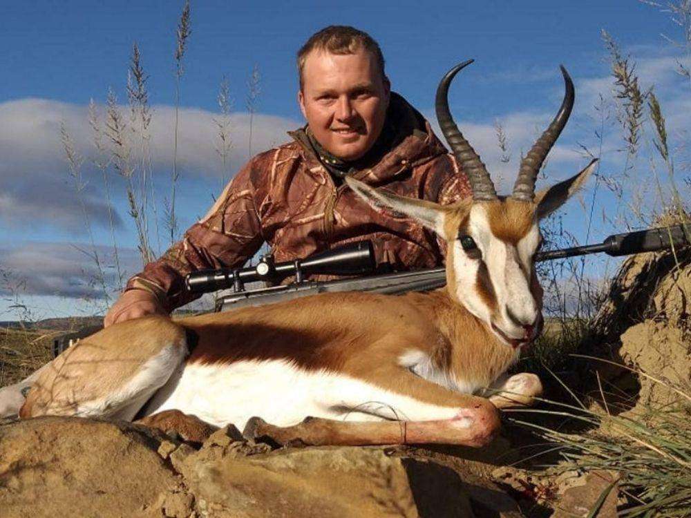 Springbuck - Cape