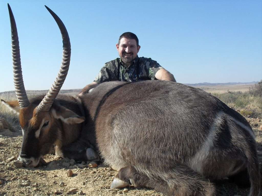 Waterbuck