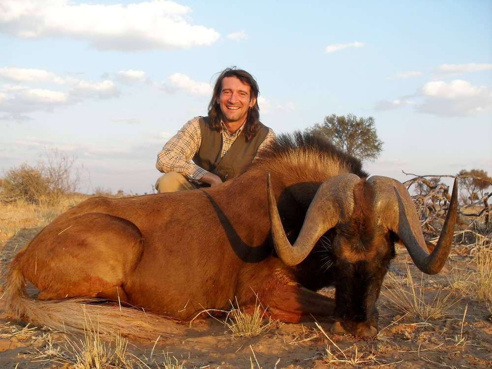 Wildebeest - Black - Non Trophy