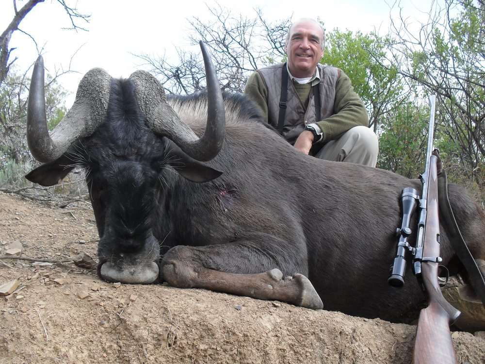Wildebeest - Black - Non Trophy