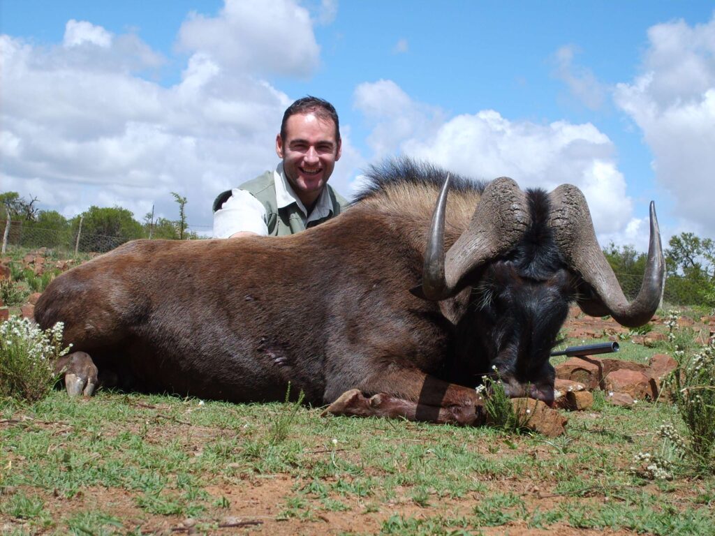 Wildebeest - Black - Non Trophy