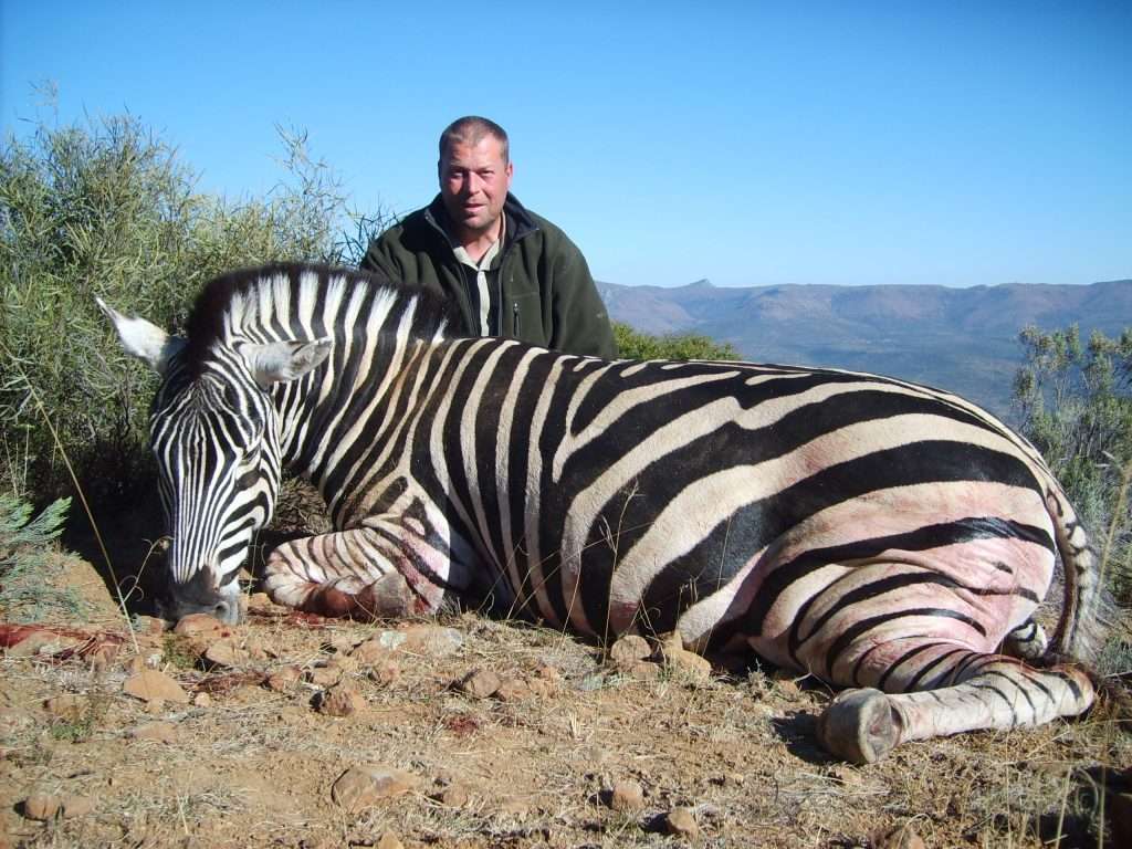 Zebra - Burchells