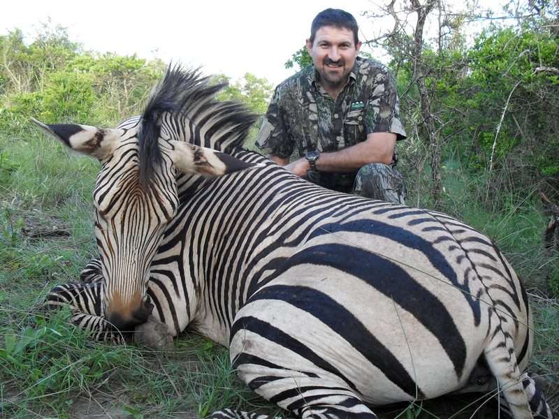 Zebra - Burchells