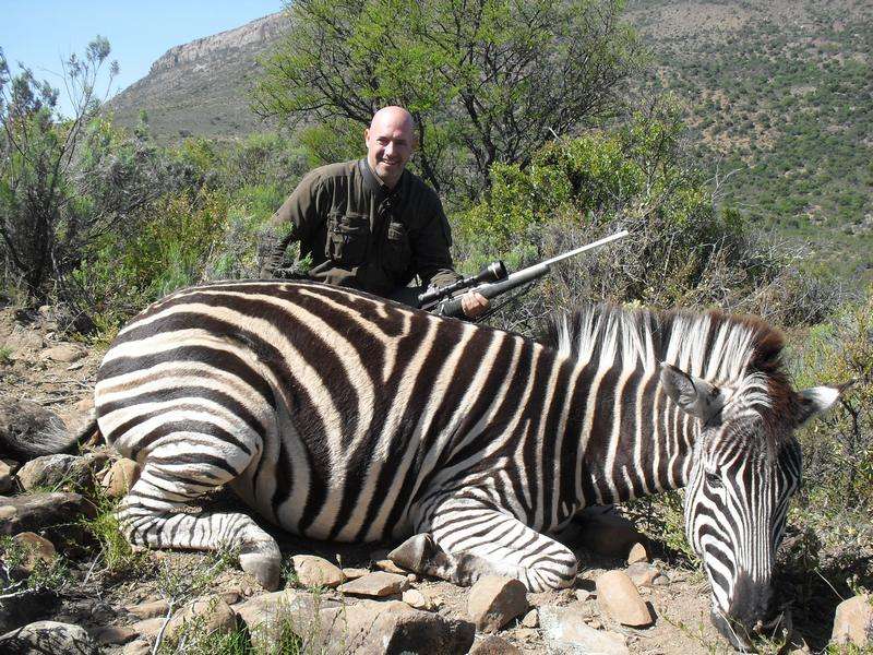 Zebra - Burchells