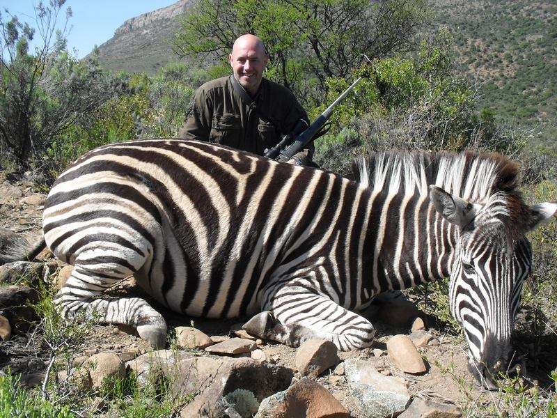 Zebra - Burchells