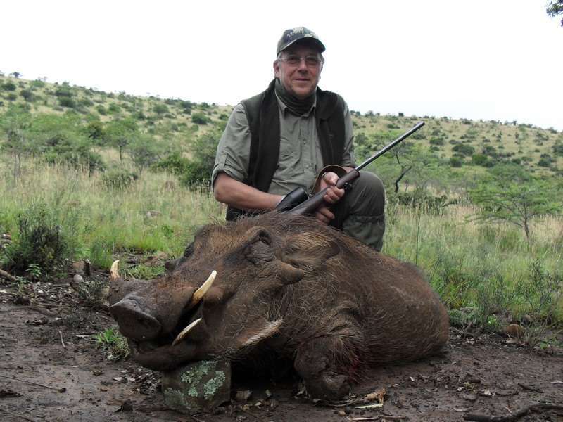 Warthog - Non Trophy
