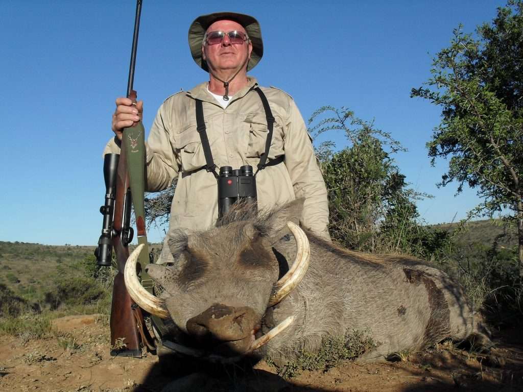 Warthog - Non Trophy