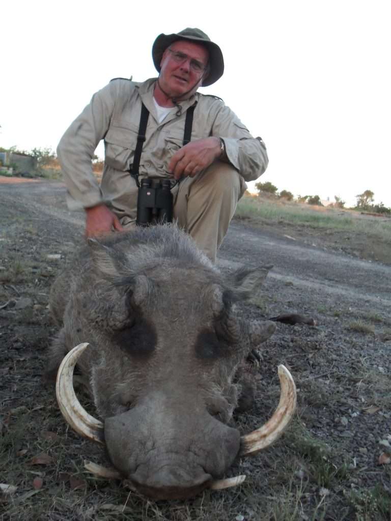 Warthog - Non Trophy