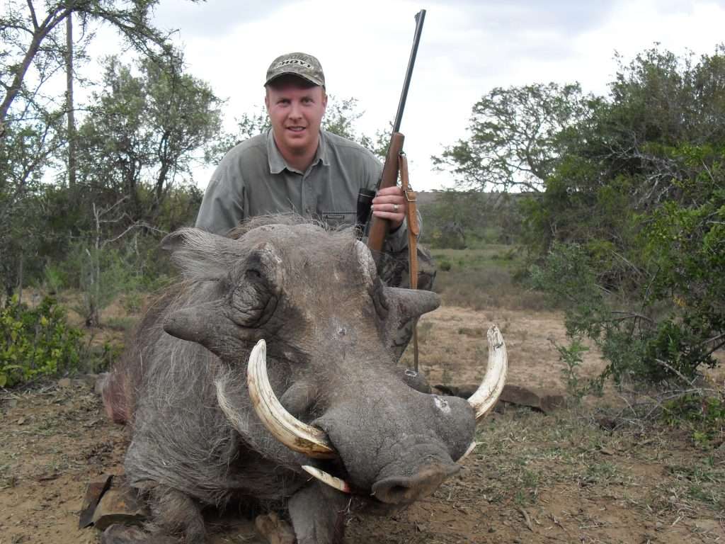 Warthog - Non Trophy