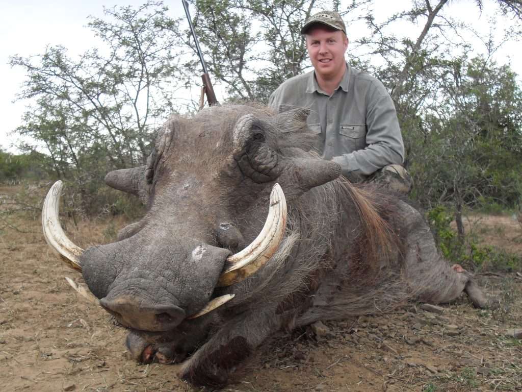 Warthog - Non Trophy