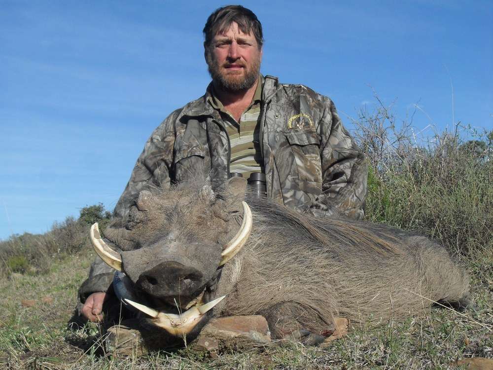 Warthog - Non Trophy
