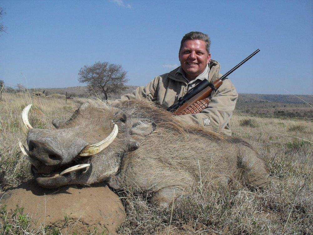 Warthog - Non Trophy