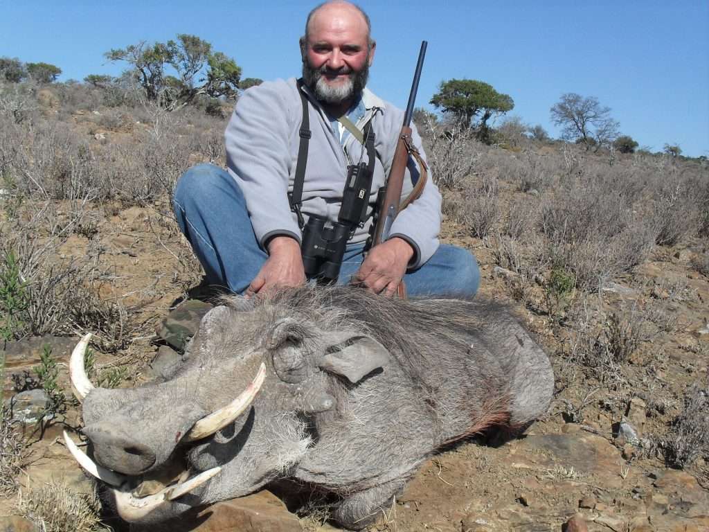 Warthog - Non Trophy