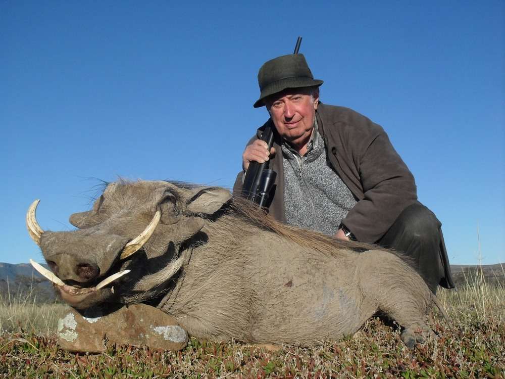 Warthog - Non Trophy