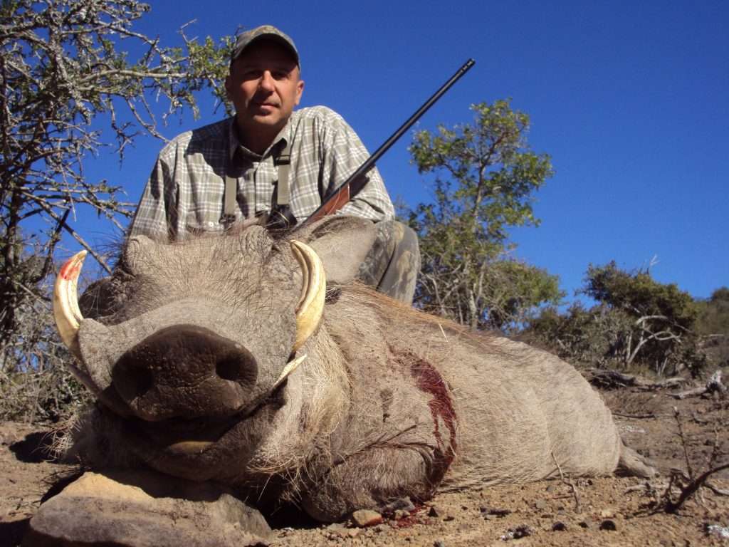 Warthog - Non Trophy