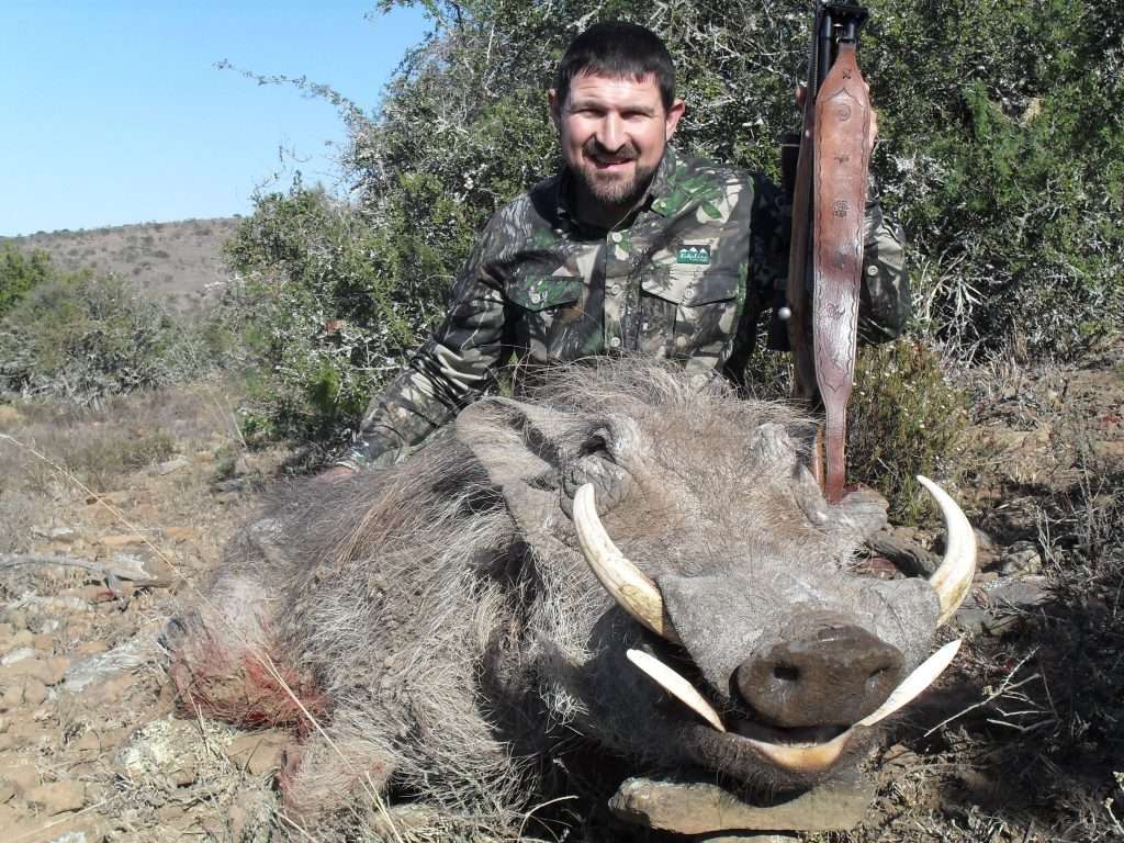 Warthog - Non Trophy