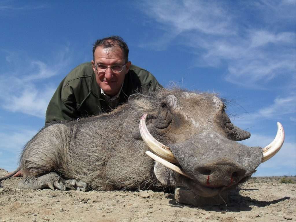 Warthog - Non Trophy