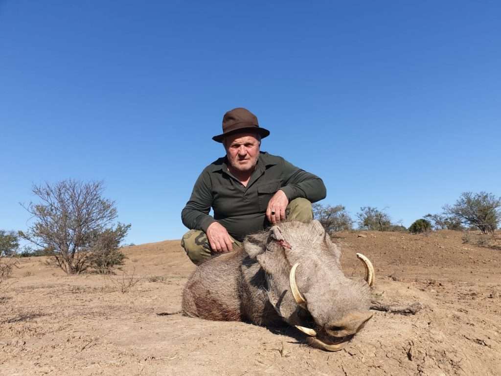Warthog - Non Trophy