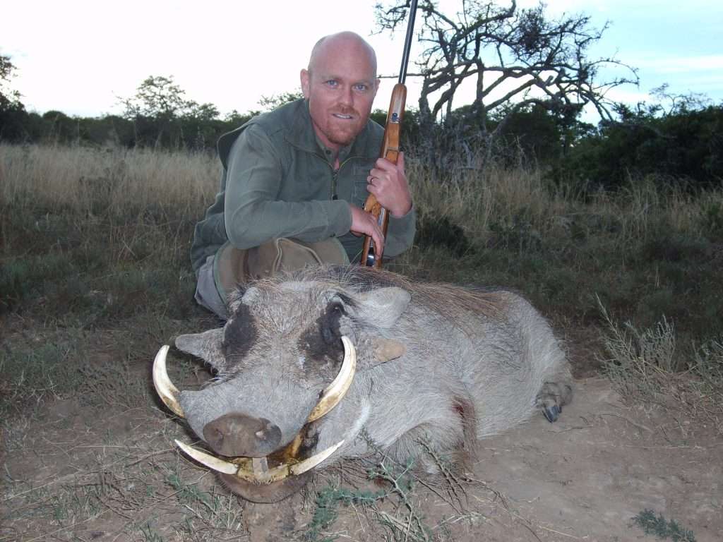 Warthog - Non Trophy
