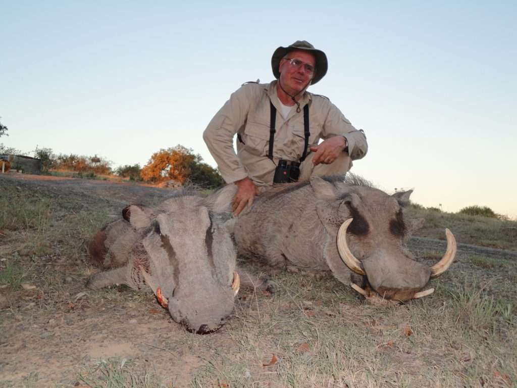 Warthog - Non Trophy