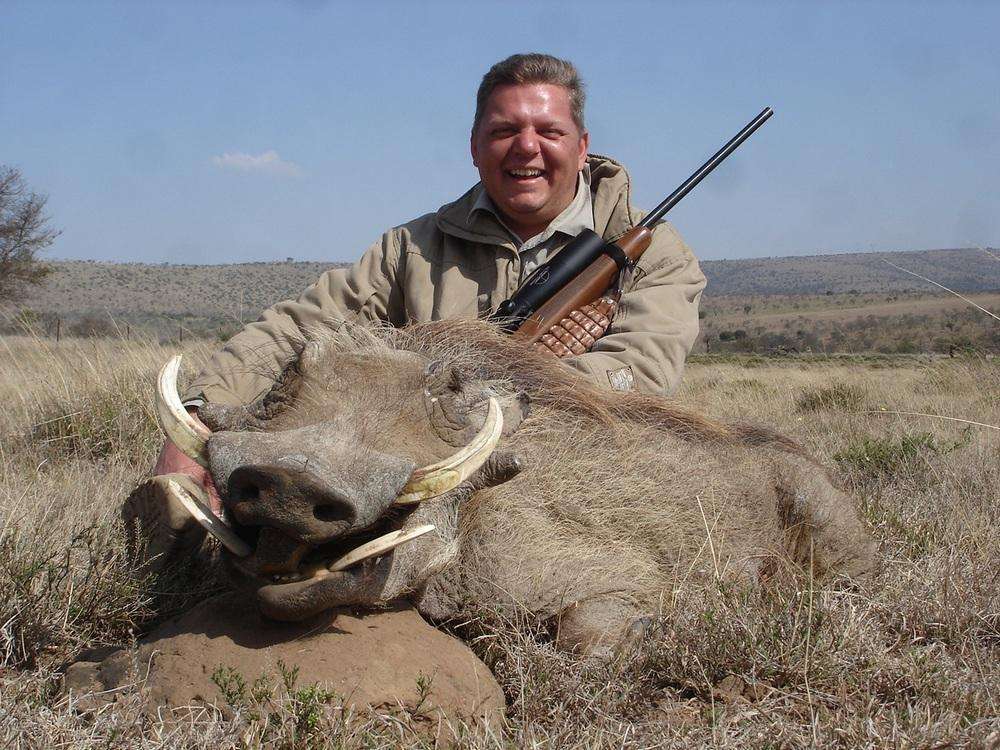 Warthog - Non Trophy