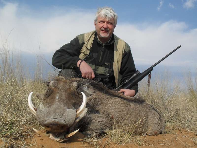 Warthog - Non Trophy