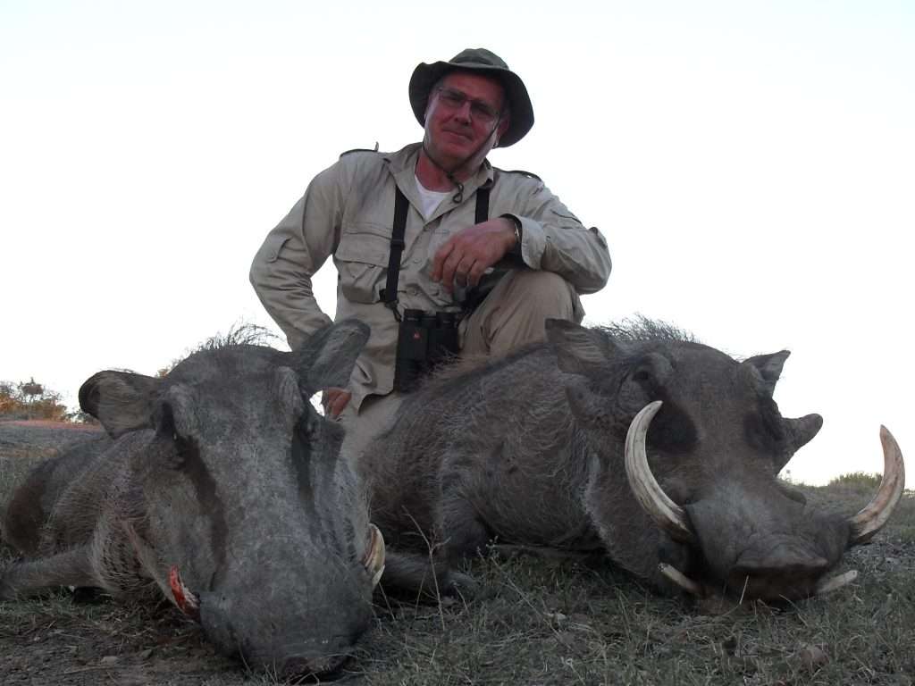 Warthog - Non Trophy