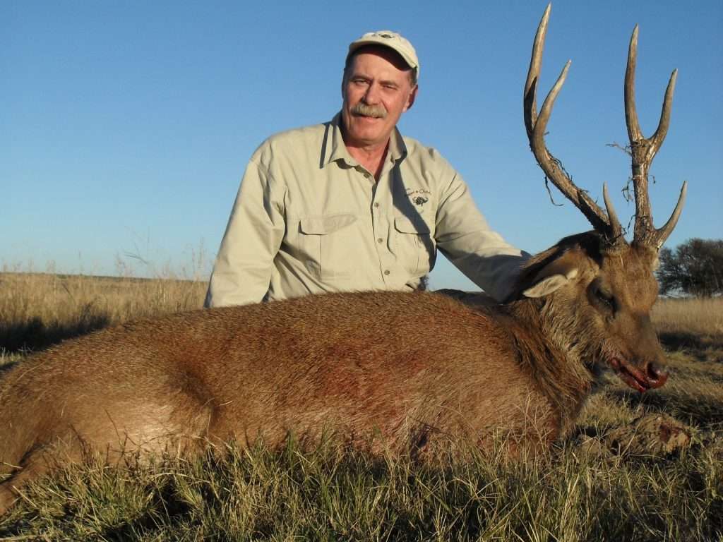 Indian Hog Deer