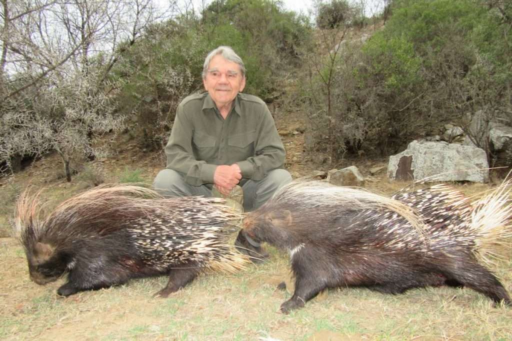 Porcupine