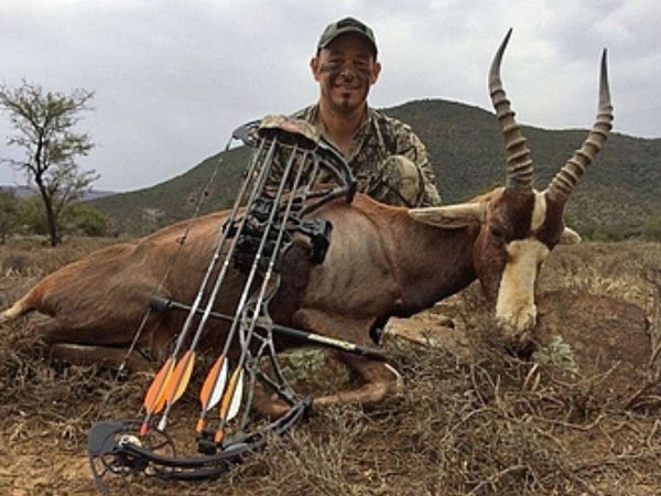 Bow Hunting