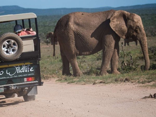 Photo Safaris