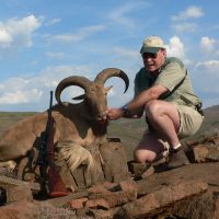 Barbary sheep - - Hoeksfontein Safaris - Trophy Hunting - South Africa (4)