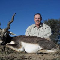 Black Buck - hunting prices za ec