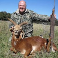 Damara Sheep - - Hoeksfontein Safaris - Trophy Hunting - South Africa (2)