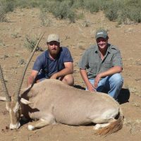 Gemsbuck - Golden - hoeksfontein (5)