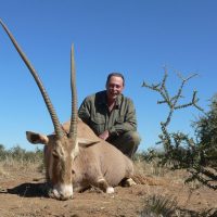 Gemsbuck - Golden - hoeksfontein (7)
