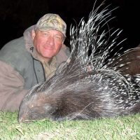 Porcupine (1)