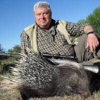 Porcupine (2)