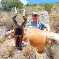 RED HARTEBEEST - Specie List - Hoeksfontein Safari - Hunting South Africa
