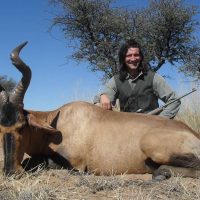 Red hartebeest - Hoeksfontein Safaris za ec 2025 (3)