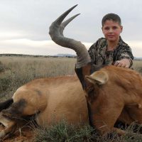 Red hartebeest - Hoeksfontein Safaris za ec 2025 (4)