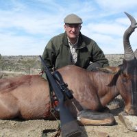 Red hartebeest - Hoeksfontein Safaris za ec 2025 (8)